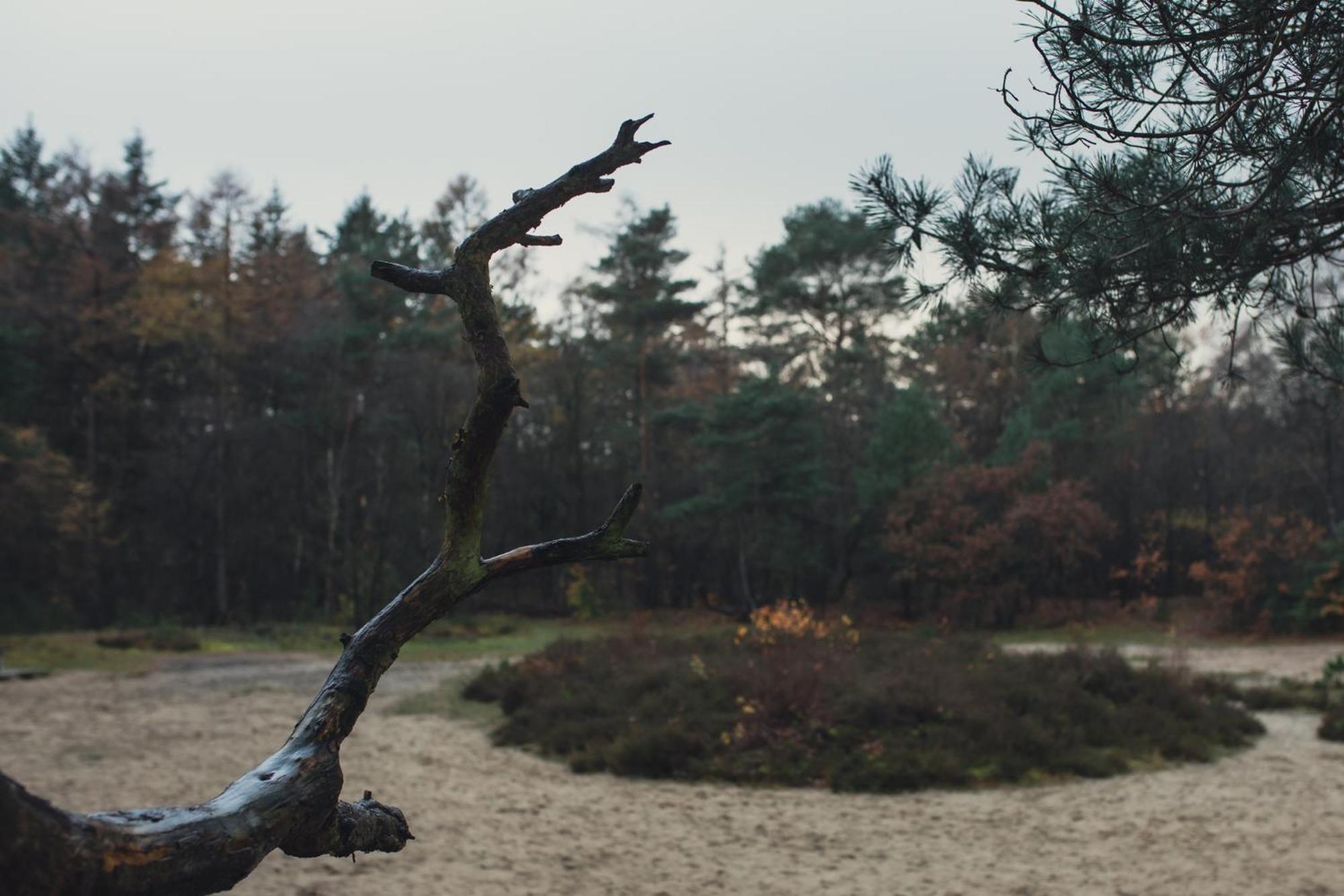 Drents Genieten - Kraaiheide Met Prive Jacuzzi Erm Luaran gambar
